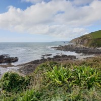 Portwrinkle Beach - dog-friendly, Cornwall - 20191015_123055.jpg