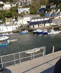 Polperro - dog walk, Cornwall - 20191017_112543.jpg