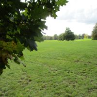 Prospect Park dog walk, Berkshire - Berkshire dog walk