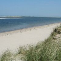 Nairn Lochloy dog-friendly beach, Scotland - stunning-beach.jpg