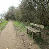 Stoke Woods (near Bicester) dog walk, Oxfordshire - dog walk in Oxfordshire