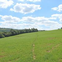 Hillbridge Wood dog walk from A5004 Whaley Bridge,, Derbyshire - 1. Whitleas field.jpg