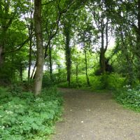 Country park dog walk, swimming and cafe, Lancashire - Dog walk in Bury