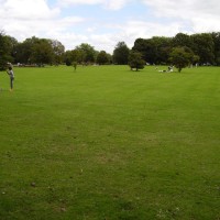 Runnymede local dog walk, Surrey - Dog walks in Surrey