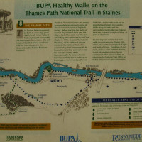 Runnymede local dog walk, Surrey - Dog walks in Surrey
