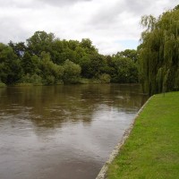 Runnymede local dog walk, Surrey - Dog walks in Surrey