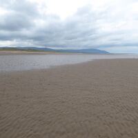 Energy Coast dog-friendly beach, Cumbria - Cumbria dog-friendly beaches