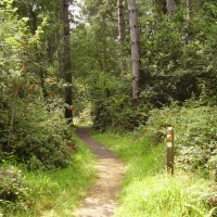 M27 Junction 5 dog walk Itchen Valley Country Park, Hampshire - Dog walks in Hampshire