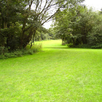 M58 Junction 3 Siding Lane Nature Reserve, Lancashire - Dog walks in Lancashire