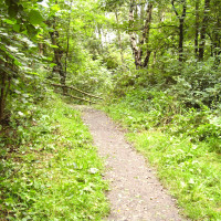 M58 Junction 3 Siding Lane Nature Reserve, Lancashire - Dog walks in Lancashire