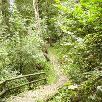M58 Junction 3 Siding Lane Nature Reserve, Lancashire - Dog walks in Lancashire