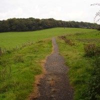 M61 Junction 8 dog walk Cuerden Valley Park, Lancashire - Dog walks in Lancashire