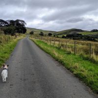 Stretch of the Paws in Dufton, near the A66 at Appleby-in-Westmorland, Cumbria - IMG_20190905_113626.jpg