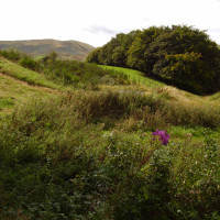 M6 Junction 38 dog-friendly pub and walk near Tebay, Cumbria - Dog walks in Cumbria