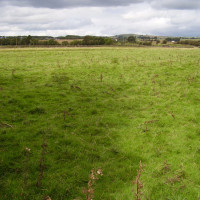 M6 Junction 38 dog-friendly pub and walk near Tebay, Cumbria - Dog walks in Cumbria