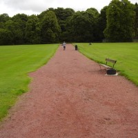 M74 Junction 10 dog walk in Lesmahagow, Scotland - Dog walks in Scotland