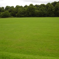 M74 Junction 10 dog walk in Lesmahagow, Scotland - Dog walks in Scotland
