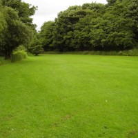 M74 Junction 10 dog walk in Lesmahagow, Scotland - Dog walks in Scotland