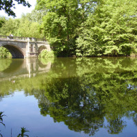 Clumber Park dog walk and cafe, Nottinghamshire - Dog walks in Nottinghamshire