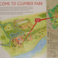 Clumber Park dog walk and cafe, Nottinghamshire - Dog walks in Nottinghamshire