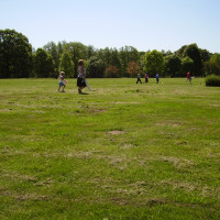 Clumber Park dog walk and cafe, Nottinghamshire - Dog walks in Nottinghamshire