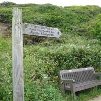 Staithes dog-friendly beach and village, North Yorkshire - Yorkshire dog-friendly beaches and dog walks