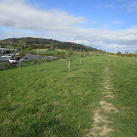 M5 Services Gloucester, Gloucestershire - Dog walks in Gloucestershire