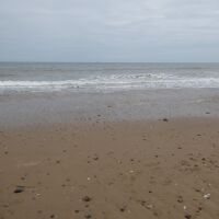 The Cow Shed Cafe and dog-friendly beach, East Yorkshire - Yorkshire dog-friendly beaches and dog walks