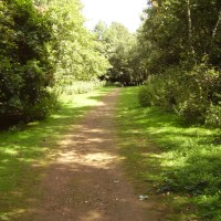 Northampton Hill Fort dog walk, Northamptonshire - Dog walks in Northamptonshire