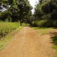 Northampton Hill Fort dog walk, Northamptonshire - Dog walks in Northamptonshire