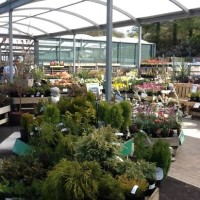 Fron Goch Garden Centre - dog-friendly, Wales - C3A31C4C-1FD9-44B5-96FA-5B3C5E25BB65.jpeg