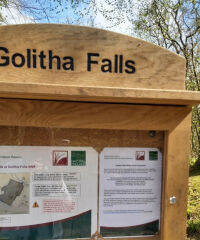 Golitha Falls National Nature Reserve, Cornwall - 20210427_151226.jpg