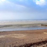 Ferring dog-friendly beach, West Sussex - Dog walks in Sussex