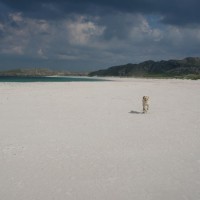 Traigh na Beirigh dog-friendly beach on the Isle of Lewis, Scotland - Dog walks in Scotland