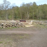 Out Woods dog walk near Loughborough, Leicestershire - Dog walks in Leicestershire
