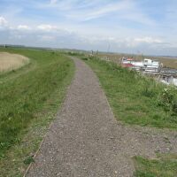 Dog walk by the sea and all-day breakfast, Suffolk - IMG_6079.JPG