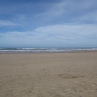 Hunmanby Gap dog-friendly beach, North Yorkshire - Yorkshire dog-friendly beaches and dog walks