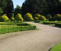 Elvaston Country Park dog walk, Derbyshire - Dog walks in Derbyshire