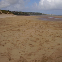 Porthkidney dog walk, Cornwall - Dog walks in Cornwall