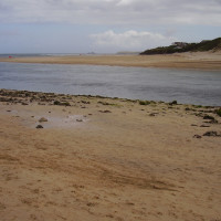 Porthkidney dog walk, Cornwall - Dog walks in Cornwall
