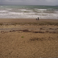 Long Rock dog-friendly beach, Cornwall - Dog walks in Cornwall