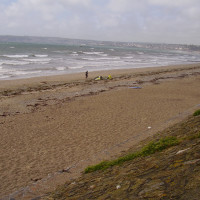 Long Rock dog-friendly beach, Cornwall - Dog walks in Cornwall