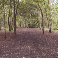 Allestree local dog walks, Derbyshire - Dog walks in Derbyshire