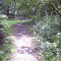 Allestree local dog walks, Derbyshire - Dog walks in Derbyshire