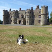 Castle dog walks near Yarpole, Herefordshire - Dog walks in Herefordshire