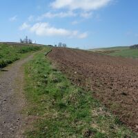 Southern upland way dog walk, Scotland - Dog walks in the Scottish Borders