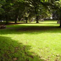 Coombe Country Park dog walks, West Midlands - Dog walks in the West Midlands