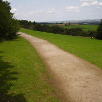 Hartshill Hayes Country Park dog walk, Warwickshire - Dog walks in Warwickshire