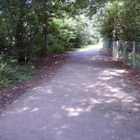 Hartshill Hayes Country Park dog walk, Warwickshire - Dog walks in Warwickshire