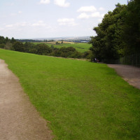 Hartshill Hayes Country Park dog walk, Warwickshire - Dog walks in Warwickshire